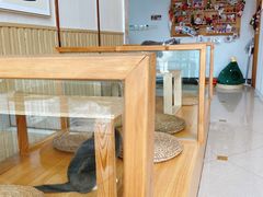 -Catmate·猫肥家润(金润铂宫店)
