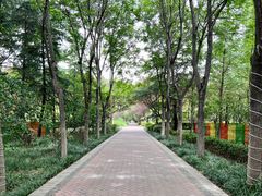 -洛阳市隋唐城遗址植物园