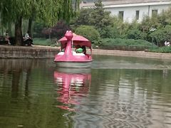 -团结湖公园