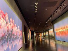 -罗红摄影艺术馆