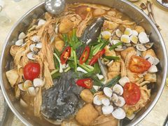 -顺德公美食(西乡店)