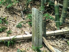 -东明山森林公园