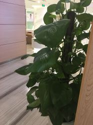 店内环境-重庆联合丽格第五医疗美容医院
