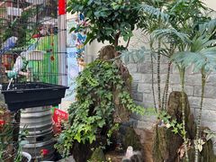 大堂-丽江庭院之丽江往事(安定门店)