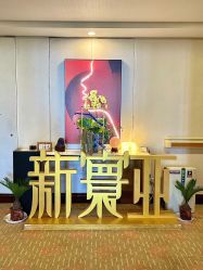 -新寰亚月子会所(金鸡湖凯宾店)