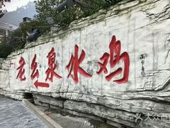 -老幺泉水鸡