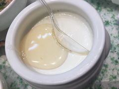 酸奶-爱丽格斯火锅(东岸国际店)