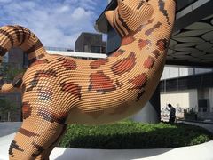 -东方棕泉·洗浴·按摩·美食国际水疗会所(福田店)