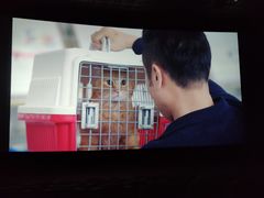 -美嘉欢乐影城(万象城店)