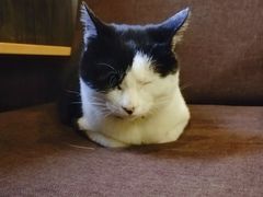 -猫的天空之城概念书店(杭州南宋御街店)