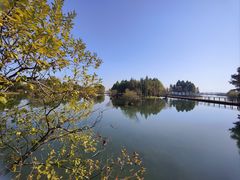 -贡湖湾湿地公园