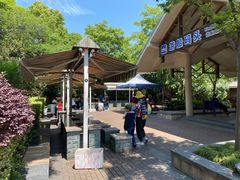 -吴淞炮台湾湿地森林公园烧烤区