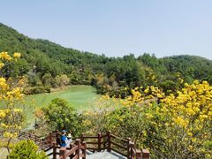 -广州白江湖森林公园