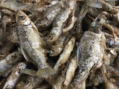 炸原生态小鱼-香猪美食(中心店)