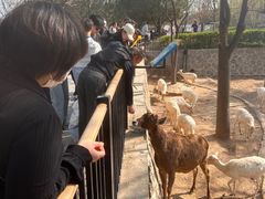 -石家庄市动物园