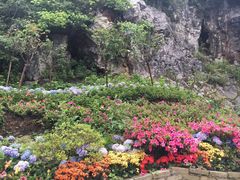 -沁园(南坪上海城店)