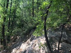 -阳台山自然风景区