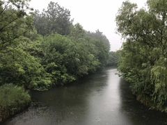 -溱湖国家湿地公园