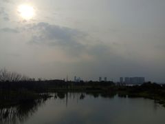 -瑶湖郊野森林公园