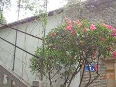 -乌山风景区