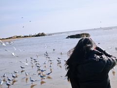 -老虎石海上公园