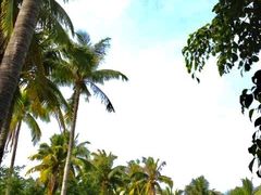 -三亚珠江南田温泉度假区