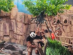 -泉州海丝野生动物世界