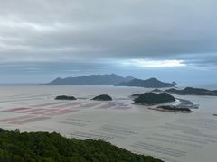 -花竹村
