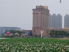 -唐山河头老街国丰维景国际大酒店