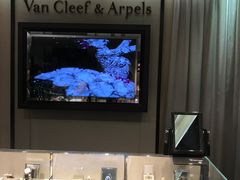 -DFS迪斐世(香港广东道店)