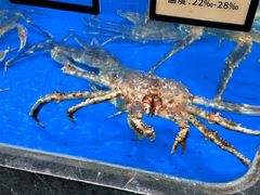 -湖锦酒楼·30年经典湖北菜(沌口店)