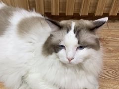 -白兔子密室(长寿路店)