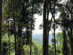 -广州市帽峰山景区