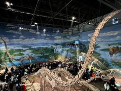 -自贡恐龙博物馆