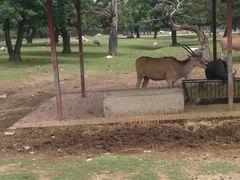 -西安秦岭野生动物园