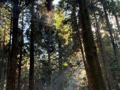 -上色见熊野座神社