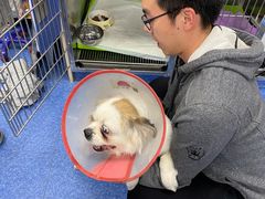 -爱诺耐芙动物医院(万博店)