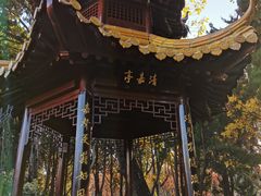 -嘉定紫藤园