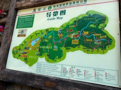 -西双版纳原始森林公园