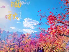 -周口店坡峰岭风景区