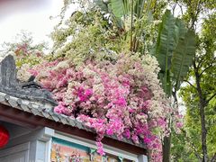 -深圳国际园林花卉博览园