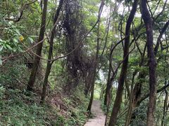 -广州市帽峰山景区
