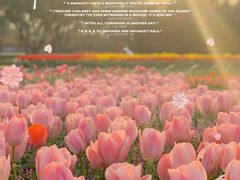 -无锡梅园公园