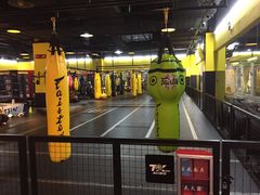 -天行健身＆天行拳馆跆拳道·格斗TXGYM