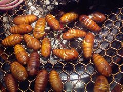 -红小姐的烤肉店(西三旗店)