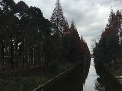 -上海长兴岛郊野公园