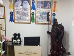 -喵百万·布偶·蓝金金渐层英短·猫舍(百子湾店)