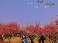 -蜀冈西峰生态公园