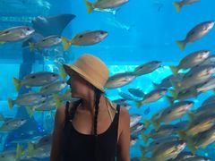 -亚特兰蒂斯水世界冒险乐园