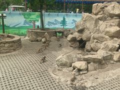 -西安秦岭野生动物园